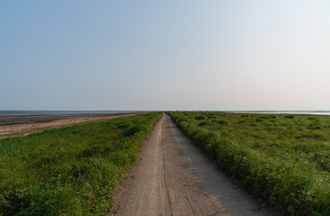 北海道のトドワラの一本道