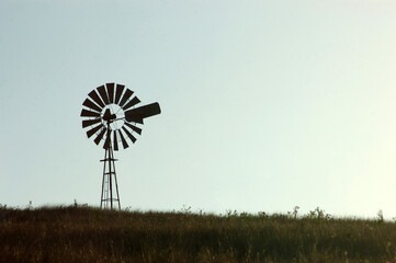 windmill in paddock - 653059707