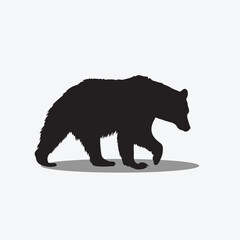 Bear vector image png