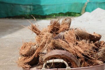 Husk of the coconut peeled and kept in the basket. A basket filled with dry coconut husk fibers