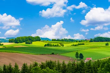 Foto op Canvas 【北海道】美瑛町 丘の風景（新栄の丘） © k_river