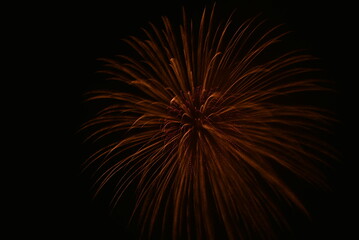 fireworks in the night sky