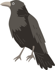 crow