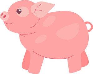 pig