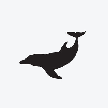 Dolphin vector image