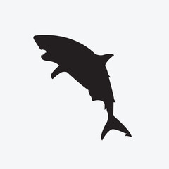 Shark vector image