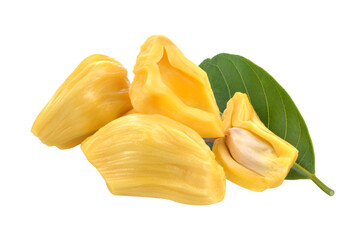 section of jackfruit isolated transparent png