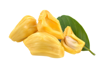 section of jackfruit isolated transparent png