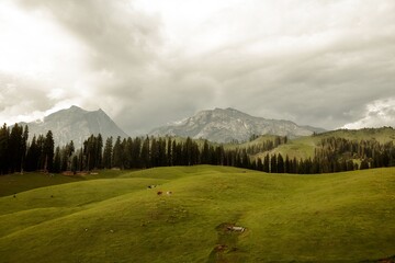 Beautiful mountain scenery. In-depth trip on the Nafran Valley Trek in Jammu and Kashmir, India