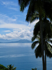 View of a palm tree, sea and tropical island on the horizon. Tropical landscape.