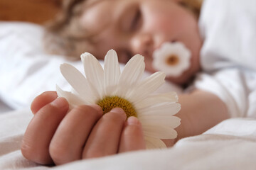 A little fair-haired girl of three years old sleeps in a crib. Chamomile, a flower with white petals next to a child. Concept of child body and sleep hygiene, health care. 