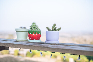 flowers in a pot