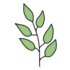 green leaves isolated on white background