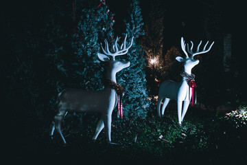 deer with antlers