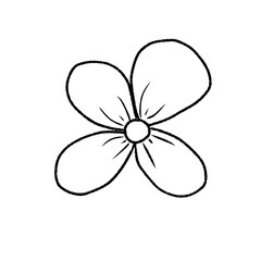 illustration of a flower outline drawing