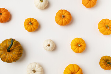 Autumn Thanksgiving holiday pattern from decorative pumpkins top view. Harvest, fall and halloween minimal concept..