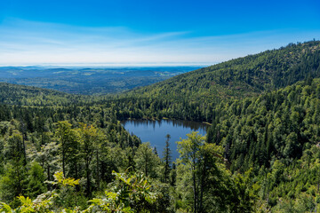 Blick auf den Rachelsee im Nationalpark Bayerischer Wald