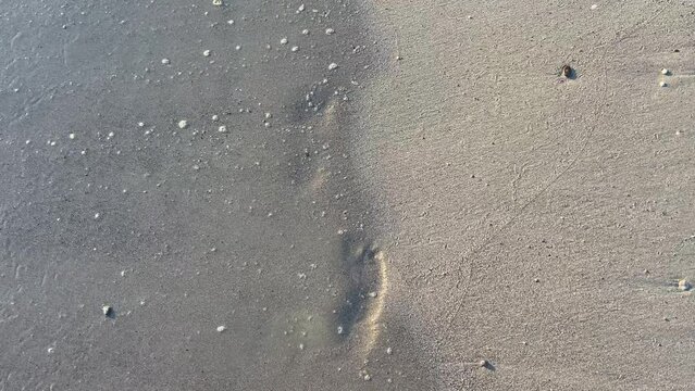 A wave of sea surf washes away the footprints of man on the sand