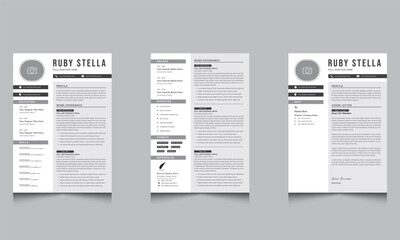 Resume and Curriculum Vitae Design Professional CV Template - obrazy, fototapety, plakaty