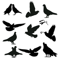 silhouettes of pigeons. Isolated on white background