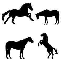 silhouette of horses . Vector illustration