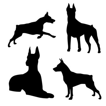 set of dogs silhouettes. Isolated on white background
