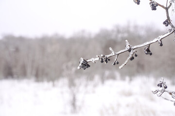 Winter tundra landscape cold frozen north outdoors nature snow