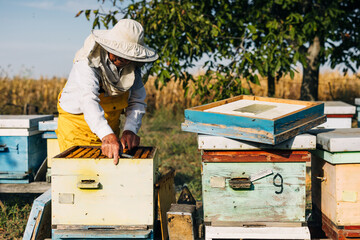 Man working outside with hives full of bees.