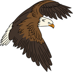 Vintage Eagle Illustration