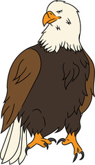 Vintage Eagle Illustration