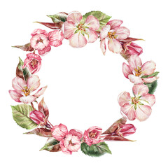 Wreath of pink Flowers. Watercolor botanical  of sakura. Hand drawn Floral  border on isolated background. Round template of cherry blossom for greeting cards and wedding invitations