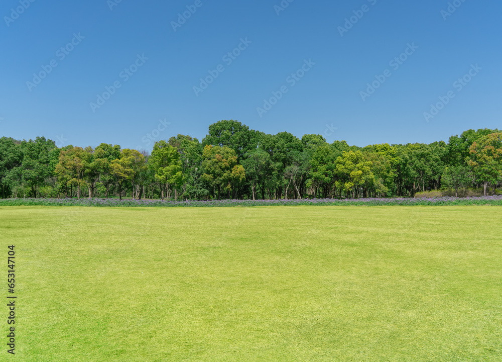 Wall mural empty grassland and clear sky background in the park