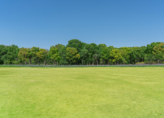 empty grassland and clear sky background in the park
