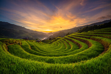 Mu Cang Chai rice terrace in sunset, Vietnam