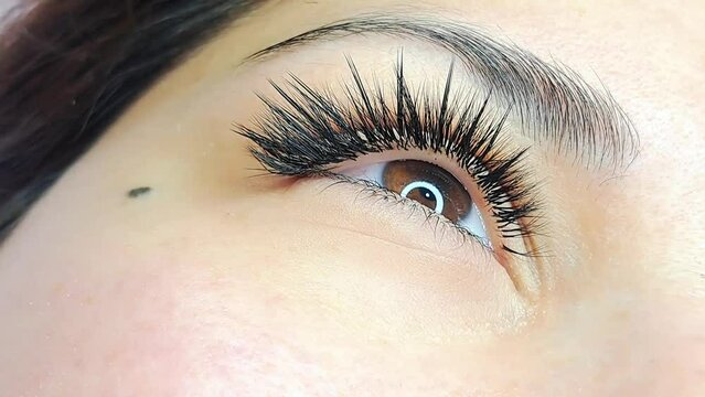 Close up of eye with eyelash Extensions in beauty salon macro view 