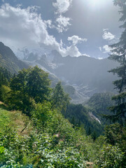 Fototapeta na wymiar Sapins sur le sentier du TMB dans les Alpes françaises