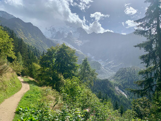 Fototapeta na wymiar Sapins sur le sentier du TMB dans les Alpes françaises