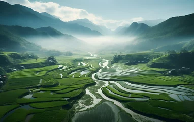 Fototapeten Terraced rice fields enter harvest season in China, aerial view © shustrilka