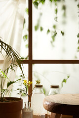 A window view of green leaves in the afternoon
sunlight.