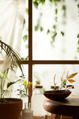 A window view of green leaves in the afternoon
sunlight.