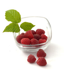 Bol de framboises et sa branche