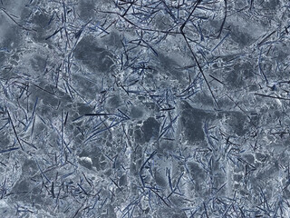 Microworld. Gray texture of abstract plant shapes for background