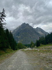 Paysage alpin en Suisse dans la vallée de Trient