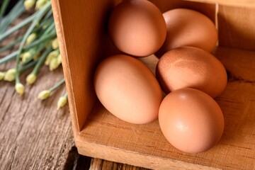 Fresh Brown Eggs with Garlic in a Wooden Box in 4K Image
