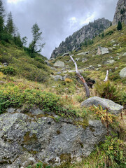 Chemin de randonnée qui mène à la fenêtre d'Arpette dans les Alpes suisses, variante du TMB