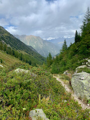 Fototapeta na wymiar Chemin de randonnée qui mène à la fenêtre d'Arpette dans les Alpes suisses, variante du TMB