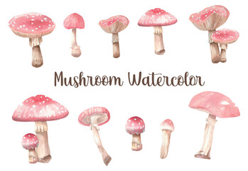 set of watercolor red mushrooms - obrazy, fototapety, plakaty