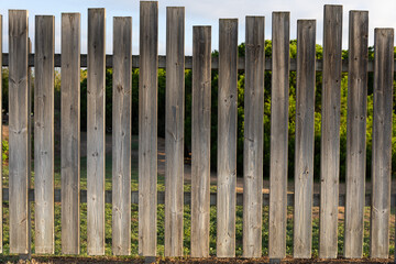 Front view of wooden planks of a fence with very marked texture of grains and knots with gaps between them with pine trees and vegetation at the background