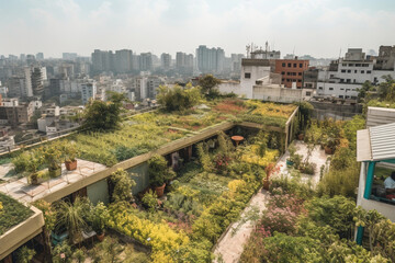 Amidst a bustling cityscape, a hidden rooftop garden flourished with vibrant blooms and lush greenery, an oasis of serenity amidst the urban chaos below.