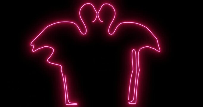 FLAMINGOS NEON RETRO OUTLINE ISOLATED ON ARK BACKGROUND DRAWING 4K ANIMATION